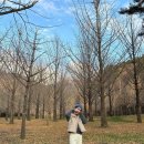 달둔소낭펜션 이미지