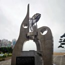 생선회 특화지역 이미지