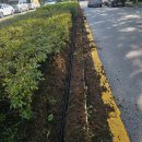 통신관로매설공사 | 한남동포크레인 용산구한남동포크레인 가로등 전기관로 매설 작업