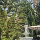 예쁜강쥐 | [치앙마이 올드타운 맛집] 강쥐 로버트가 반겨주는 Robert bake &amp; brunch