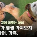 고은가