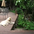 홍계산장 이미지