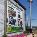 성화사슴농장 이미지