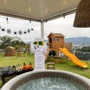 비행기나무 이미지