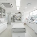 정직 동물병원 이미지