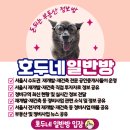 목동서로8길 이미지