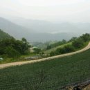 김삿갓면-11 이미지