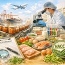 현대식품 이미지