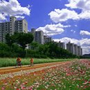 동두천-044 이미지