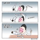 2023년02월25일 토요일 오늘의 포토 뉴스 시사 만평 떡메 이미지