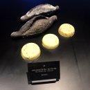 [강남ㅣ도산] 하우스도산 방문후기 (+누데이크 메뉴 안내 및 주차 정보)