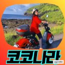 우도전기차