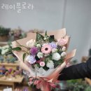 레이플로라 이미지