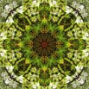 여백이있는날 이미지