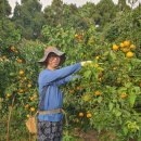 김종우 농장 이미지