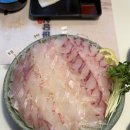 스포니스 방이점 | 방이역 맛집 바당실비 고급어종 실비오마카세 대만족 후기 (해산물 싫어병 완치)