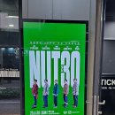 노들섬 라이브하우스 | NUT30 크라잉넛 콘서트 즐긴 후기 (노들섬 라이브 하우스 시야)