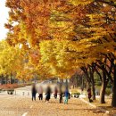 중화요리첸 이미지