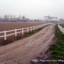 도고목장 이미지