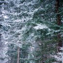 풍경힐링 이미지