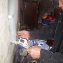 팽성서로 이미지