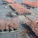 대열농장 이미지