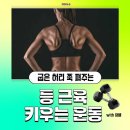 굽은 허리 쭉 펴주는 등 근육운동 이미지