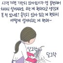 며느리의 도가 뭐길래 이미지