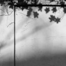 목련1차 이미지