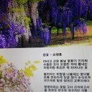 靑山 손병흥 시화 죽원재사 外 이미지