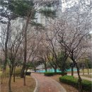 판교푸르지오공인중개사사무소 | 판교역 푸르지오그랑블과 봇들7단지에서 나만의 완벽한 공간 찾는 법