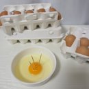 양촌농원 이미지