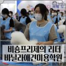 논산애견미용학원 이미지