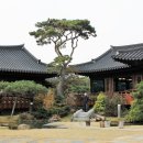 마당 이미지