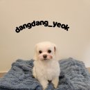 해피미용실 - 광산구 | 해피미용실