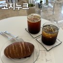 광주 월곡동 신상카페 코지누크 방문후기