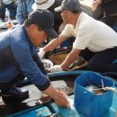 고대도1 이미지