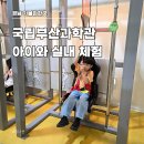 라인댄스(야간) | 국립부산과학관 경남 아이와 실내 체험 가볼만한곳