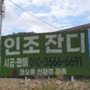 양우사