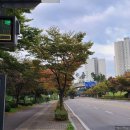 장충 달인의족발 이미지