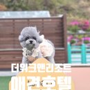 더위크앤리조트(더우프앤) 이미지