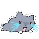 북정초등학교 이미지