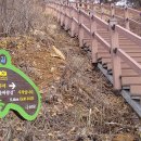 닥실마을 이미지