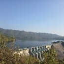 대덕문화원 | 청남대 가을축제 관람후기(2025. 11. 07.)