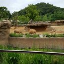 시티즌랜드 이미지