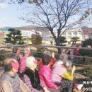 하북초등학교(병설유치원) 이미지