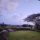 힐담(힐링을담다) 이미지