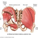 자이 복싱 이미지