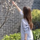 4월 봄 위시리스트 | 스트라이프 셔츠 &amp; 단가라 럭비티 카라티