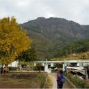 사량초등학교돈지분교장 이미지